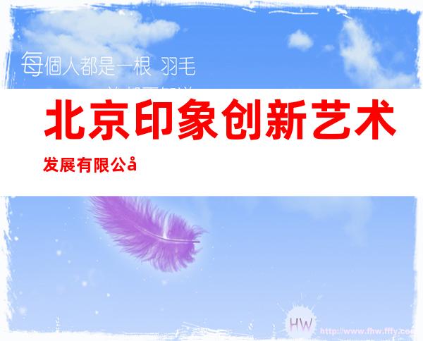 北京印象创新艺术发展有限公司